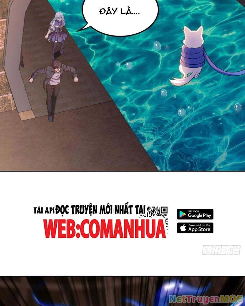 Huyễn Thú Của Ta Có Thể Tiến Hóa Vô Hạn Chapter 13 - Trang 2