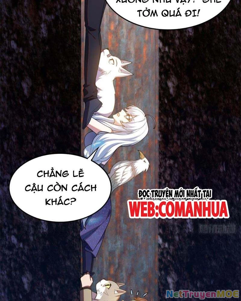 Huyễn Thú Của Ta Có Thể Tiến Hóa Vô Hạn Chapter 14 - Trang 2