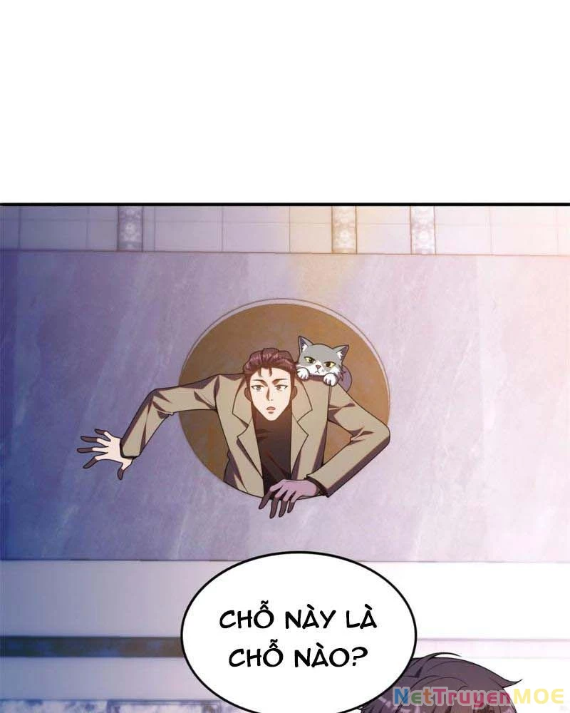 Huyễn Thú Của Ta Có Thể Tiến Hóa Vô Hạn Chapter 14 - Trang 2