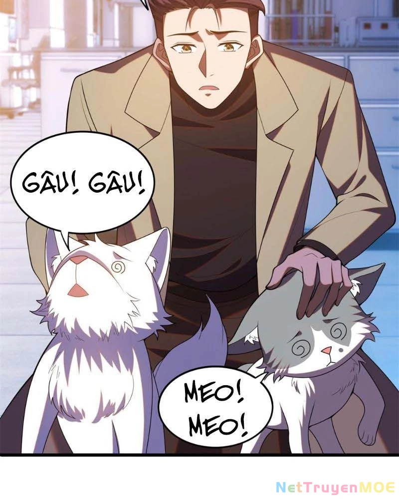 Huyễn Thú Của Ta Có Thể Tiến Hóa Vô Hạn Chapter 14 - Trang 2