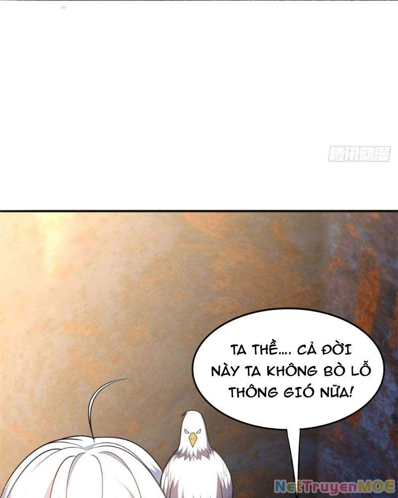 Huyễn Thú Của Ta Có Thể Tiến Hóa Vô Hạn Chapter 14 - Trang 2