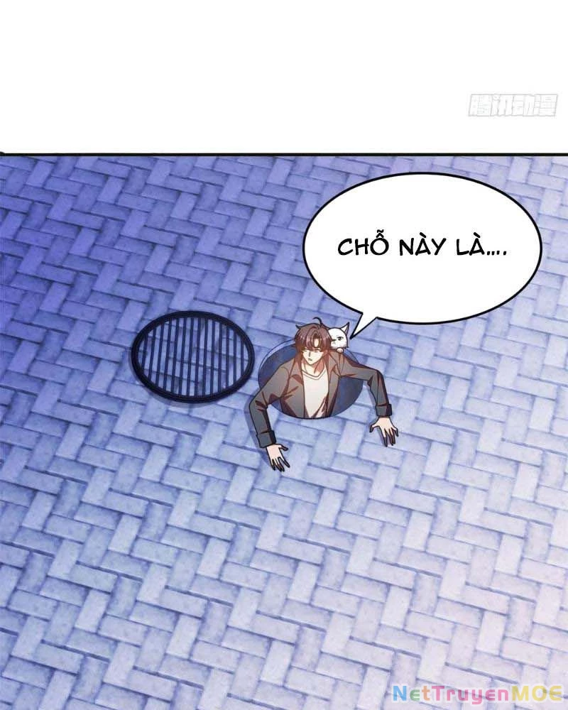 Huyễn Thú Của Ta Có Thể Tiến Hóa Vô Hạn Chapter 14 - Trang 2