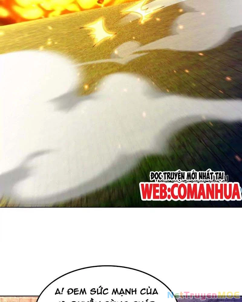 Huyễn Thú Của Ta Có Thể Tiến Hóa Vô Hạn Chapter 17 - Trang 2