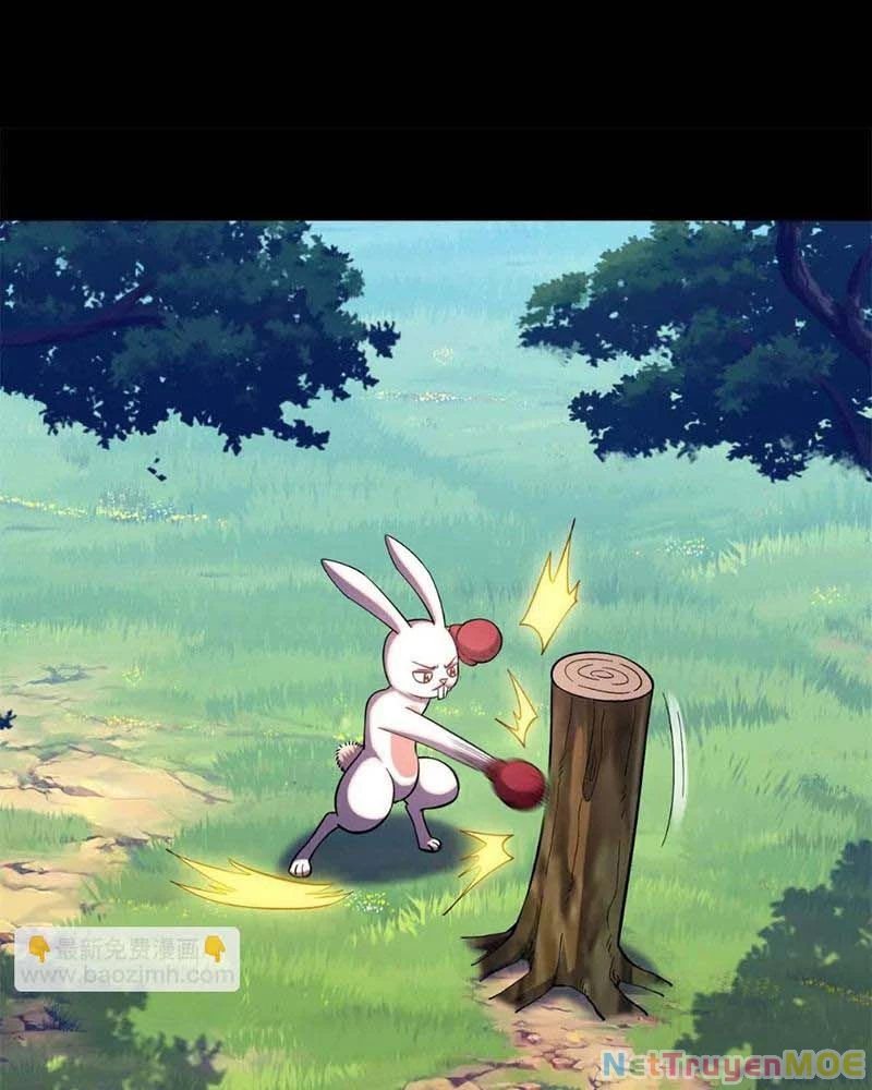 Huyễn Thú Của Ta Có Thể Tiến Hóa Vô Hạn Chapter 18 - Trang 2