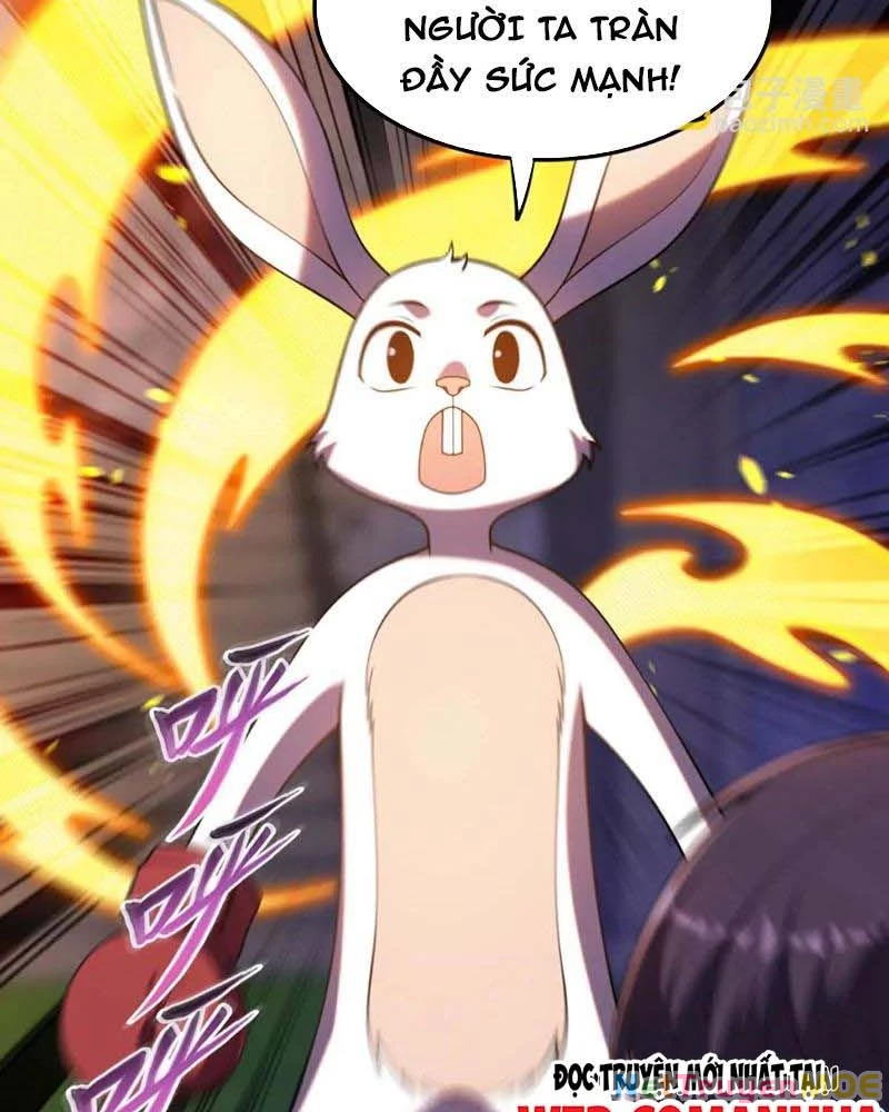 Huyễn Thú Của Ta Có Thể Tiến Hóa Vô Hạn Chapter 19 - Trang 2