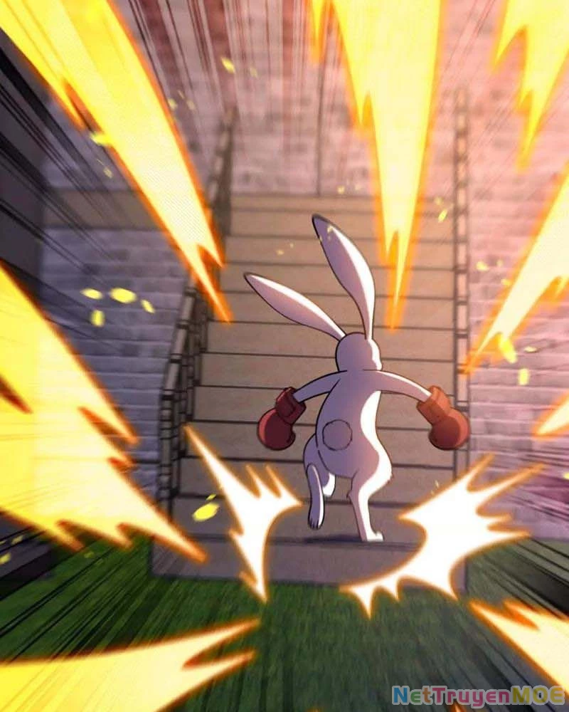 Huyễn Thú Của Ta Có Thể Tiến Hóa Vô Hạn Chapter 19 - Trang 2