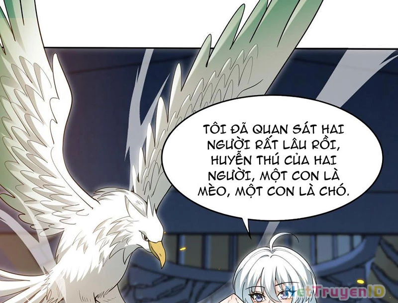Huyễn Thú Của Ta Có Thể Tiến Hóa Vô Hạn Chapter 2 - Trang 2