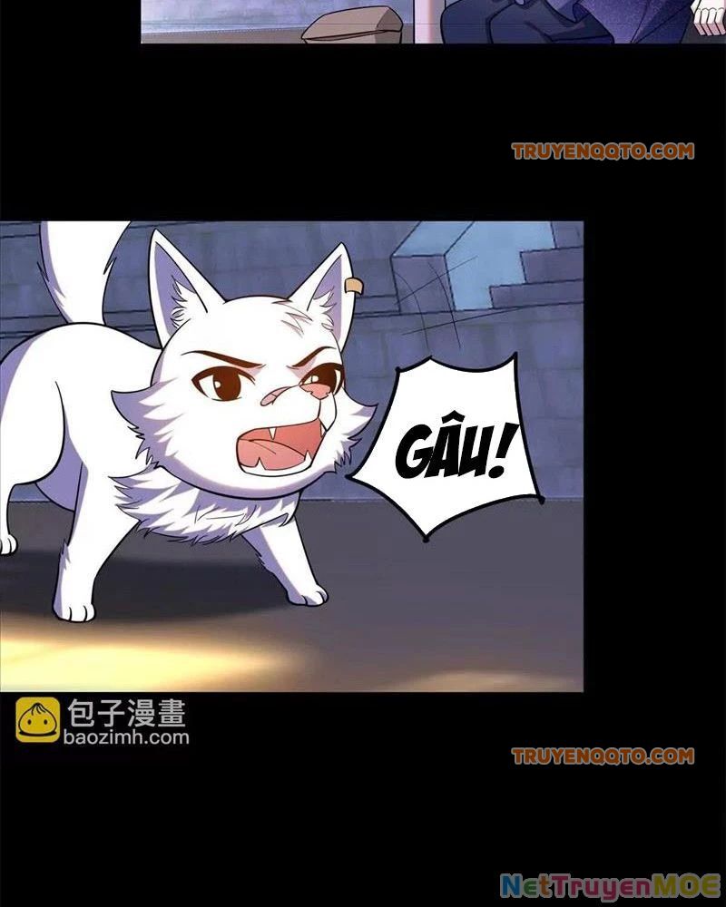 Huyễn Thú Của Ta Có Thể Tiến Hóa Vô Hạn Chapter 22 - Trang 2