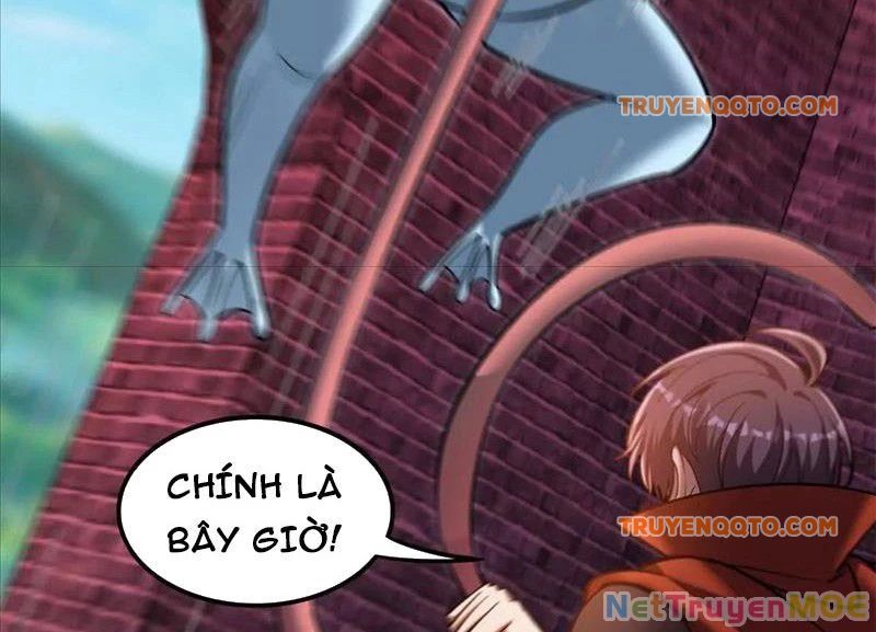 Huyễn Thú Của Ta Có Thể Tiến Hóa Vô Hạn Chapter 23 - Trang 2