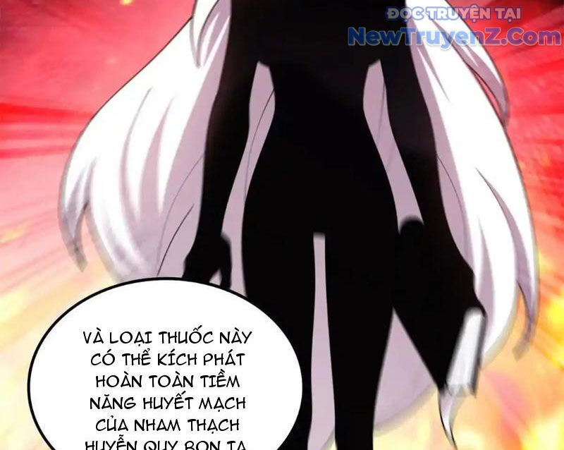 Huyễn Thú Của Ta Có Thể Tiến Hóa Vô Hạn Chapter 27 - Trang 2