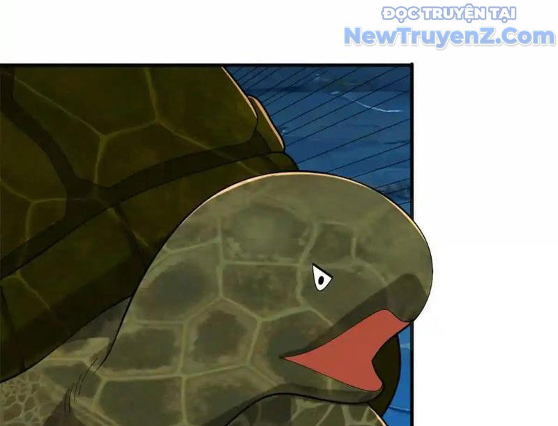 Huyễn Thú Của Ta Có Thể Tiến Hóa Vô Hạn Chapter 27 - Trang 2