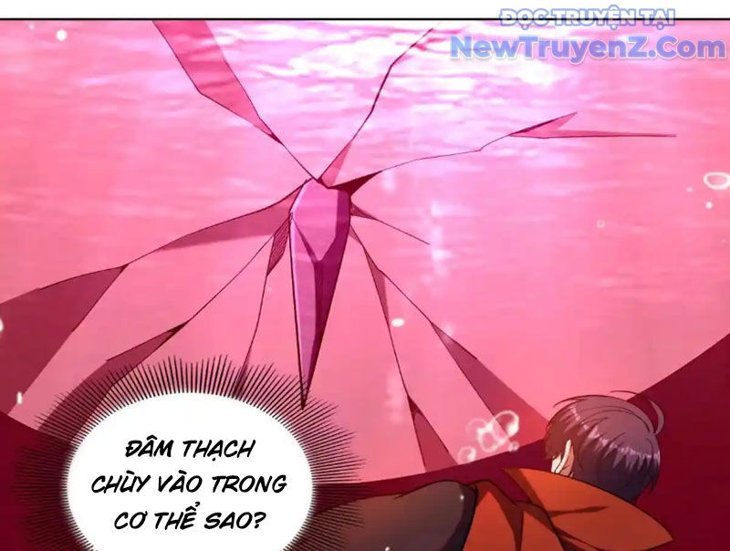 Huyễn Thú Của Ta Có Thể Tiến Hóa Vô Hạn Chapter 30 - Trang 2