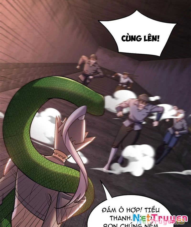 Huyễn Thú Của Ta Có Thể Tiến Hóa Vô Hạn Chapter 5 - Trang 2