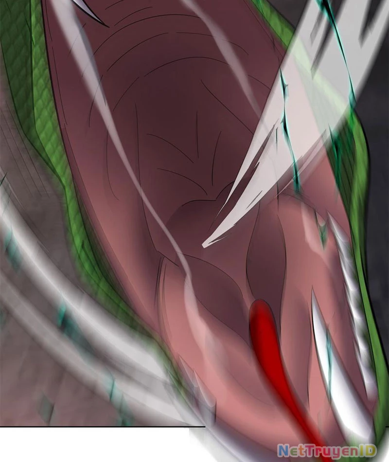 Huyễn Thú Của Ta Có Thể Tiến Hóa Vô Hạn Chapter 5 - Trang 2