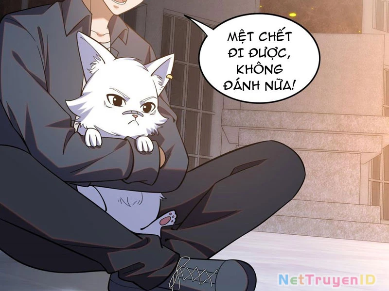 Huyễn Thú Của Ta Có Thể Tiến Hóa Vô Hạn Chapter 6 - Trang 2