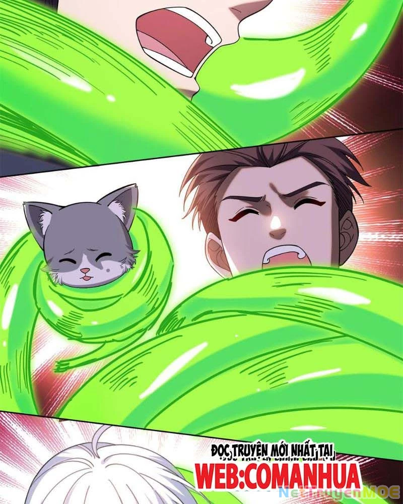 Huyễn Thú Của Ta Có Thể Tiến Hóa Vô Hạn Chapter 7 - Trang 2