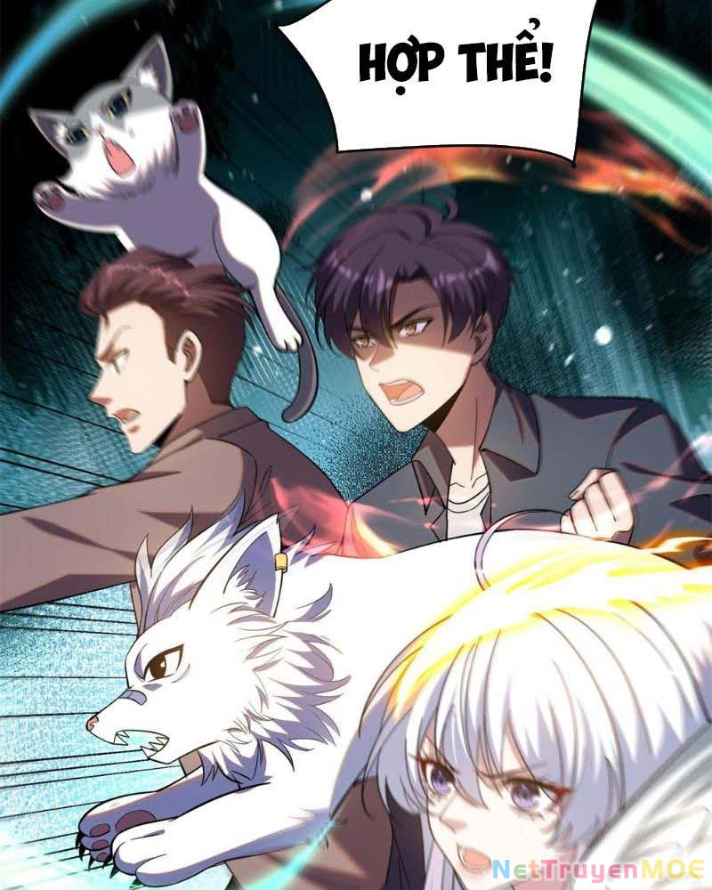 Huyễn Thú Của Ta Có Thể Tiến Hóa Vô Hạn Chapter 8 - Trang 2