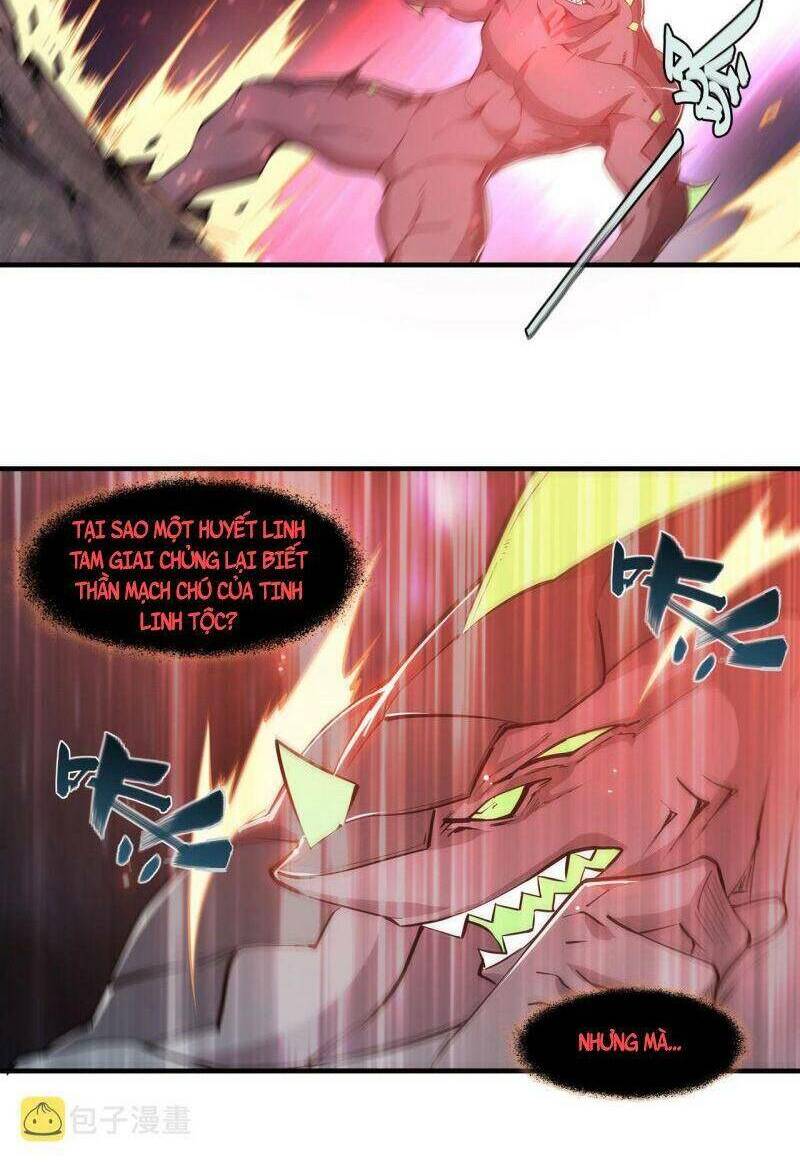 Huyết Cơ Và Kỵ Sĩ Chapter 239 - Trang 2