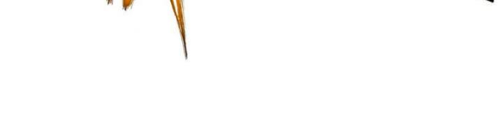 Huyết Cơ Và Kỵ Sĩ Chapter 315 - Trang 2