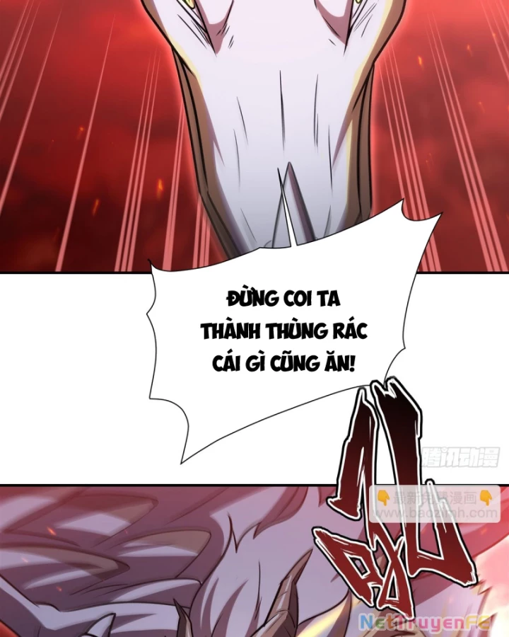 Huyết Cơ Và Kỵ Sĩ Chapter 344 - Trang 2