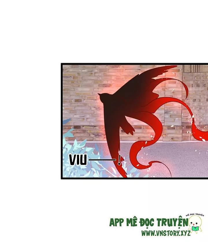 Huyết Tộc Đáng Yêu Chapter 100 - Trang 2