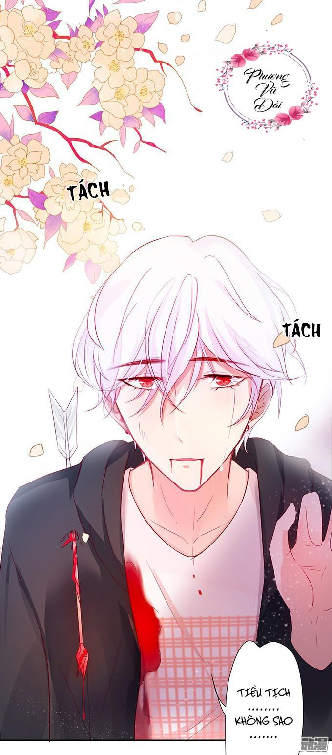 Huyết Tộc Đáng Yêu Chapter 11 - Trang 2