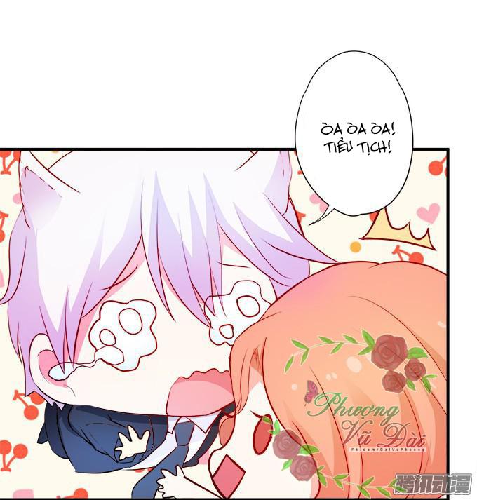 Huyết Tộc Đáng Yêu Chapter 40 - Trang 2