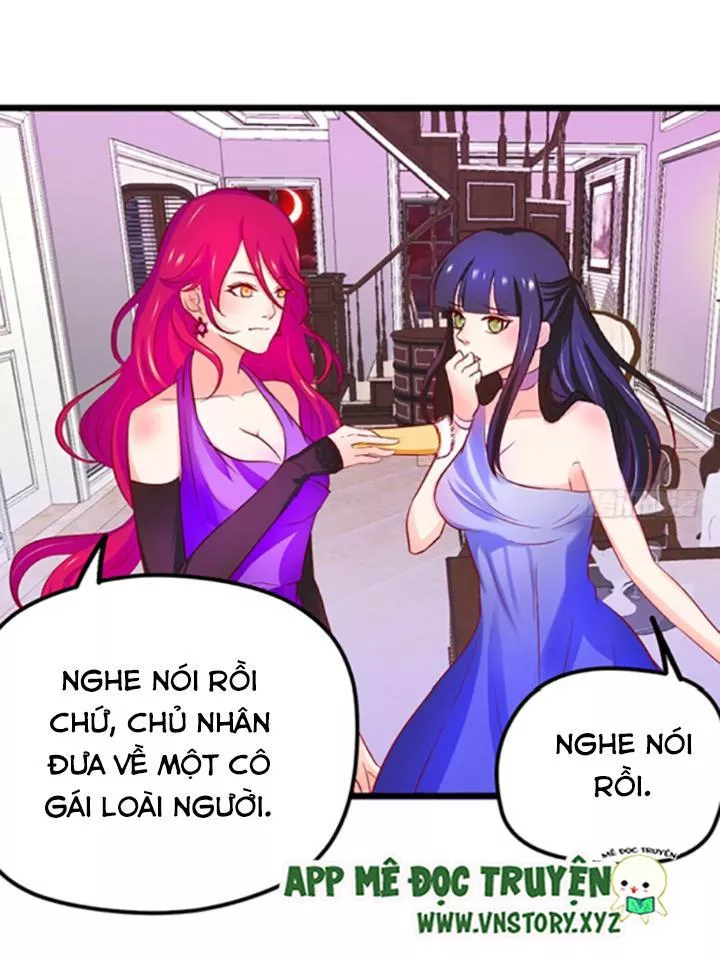 Huyết Tộc Đáng Yêu Chapter 59 - Trang 2