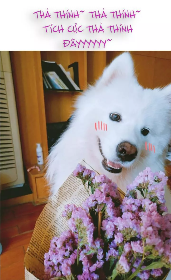 Huyết Tộc Đáng Yêu Chapter 59 - Trang 2