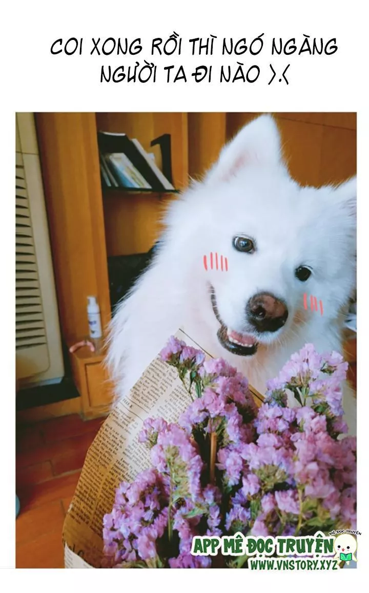 Huyết Tộc Đáng Yêu Chapter 61 - Trang 2