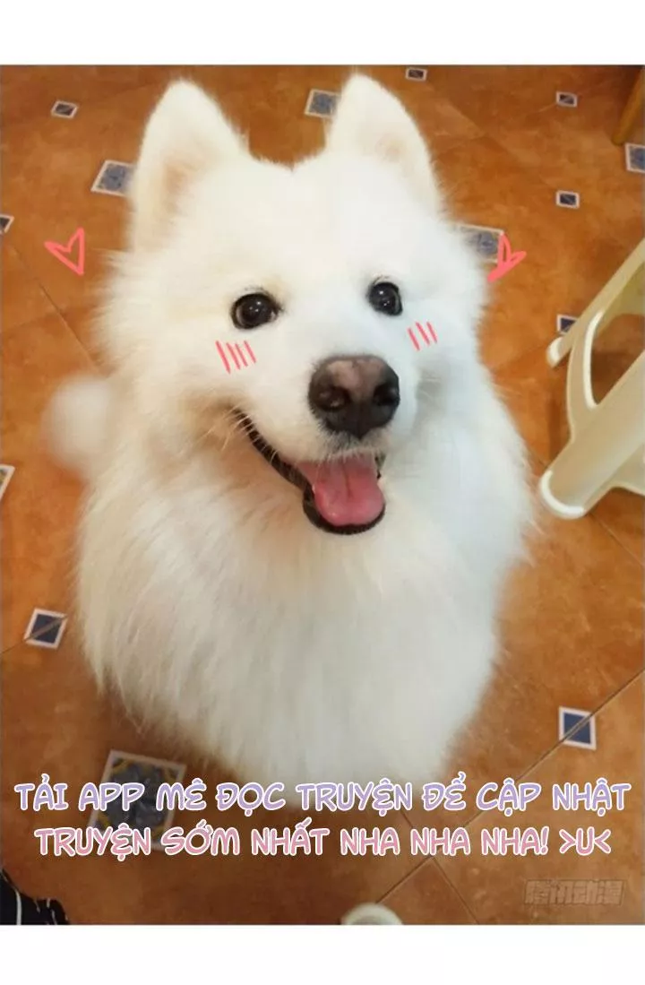 Huyết Tộc Đáng Yêu Chapter 67 - Trang 2