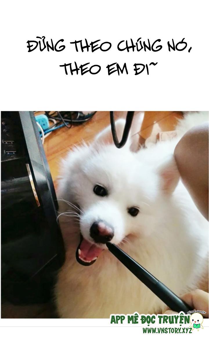 Huyết Tộc Đáng Yêu Chapter 68 - Trang 2