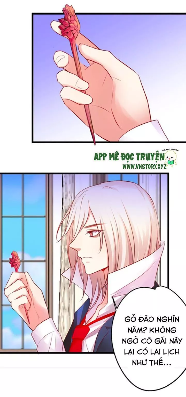 Huyết Tộc Đáng Yêu Chapter 69 - Trang 2