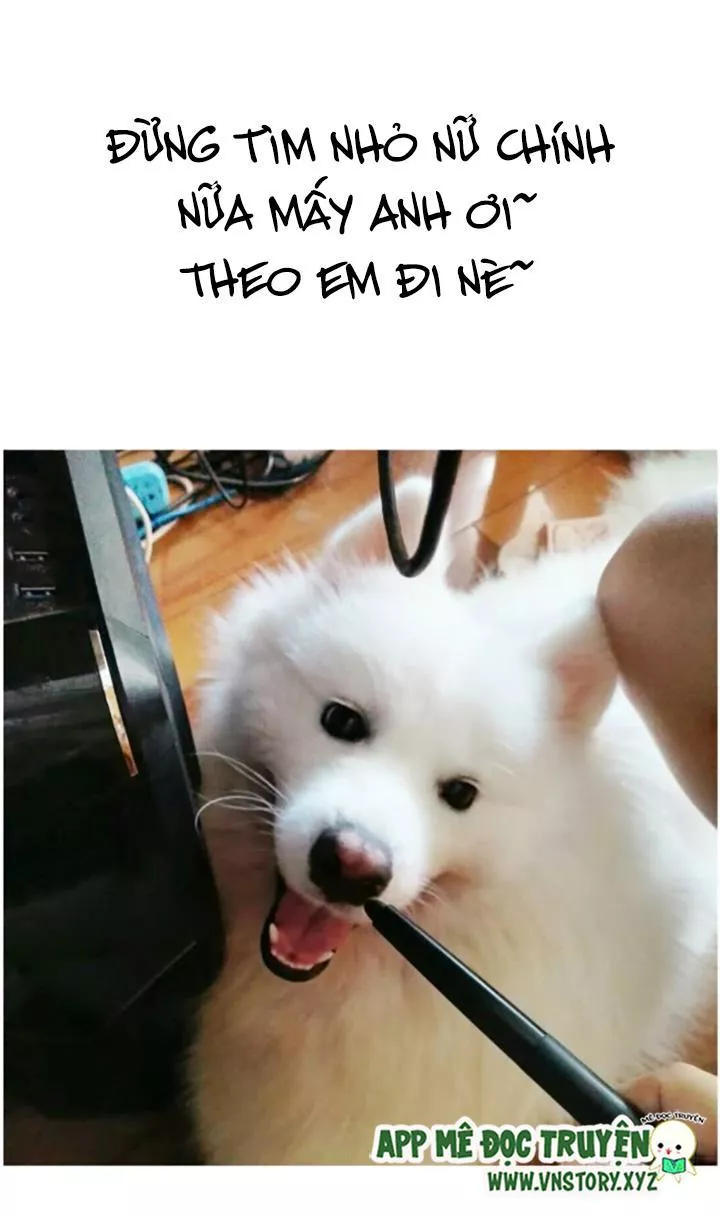 Huyết Tộc Đáng Yêu Chapter 69 - Trang 2