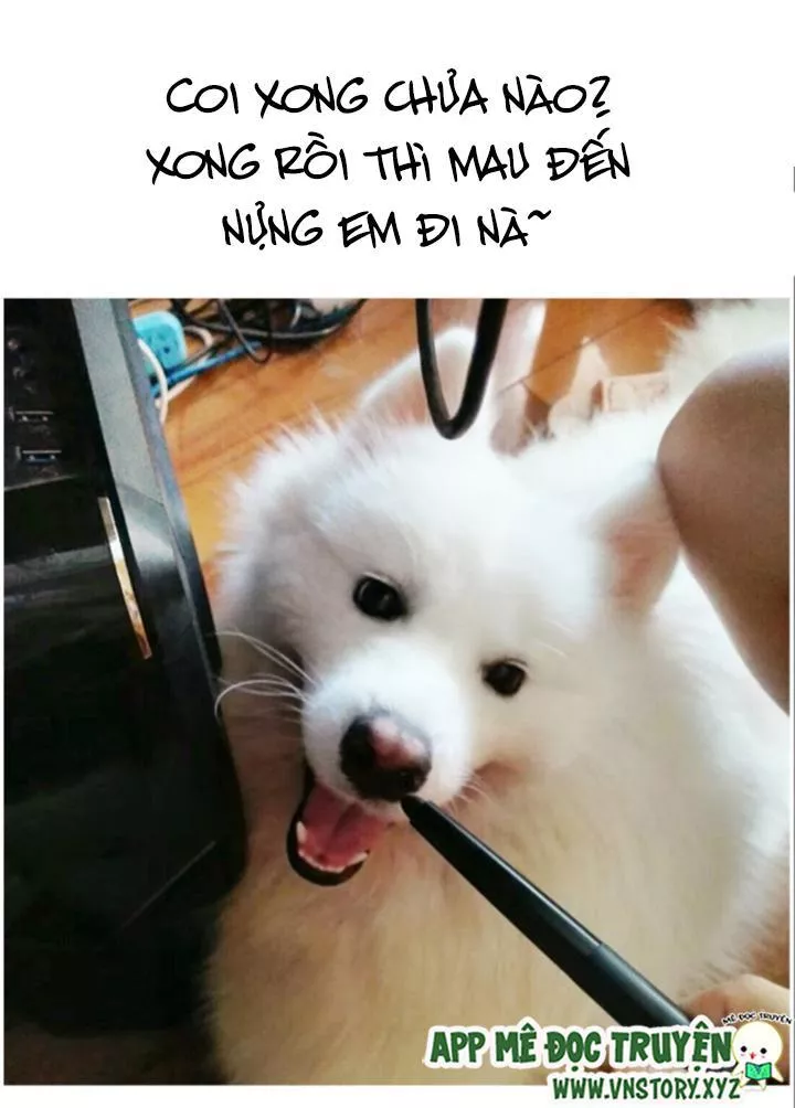 Huyết Tộc Đáng Yêu Chapter 70 - Trang 2