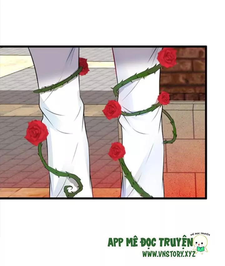 Huyết Tộc Đáng Yêu Chapter 71 - Trang 2