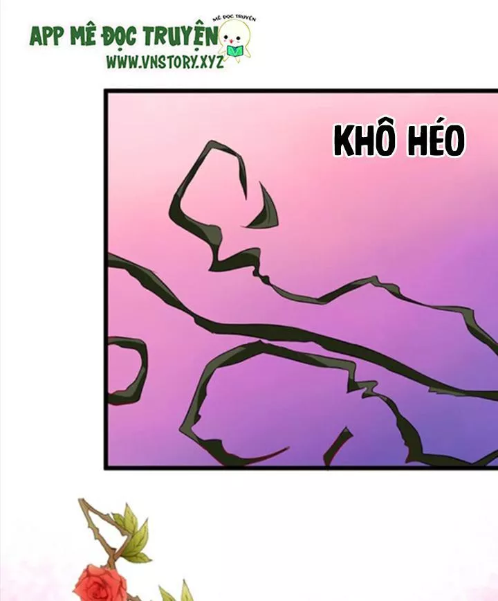 Huyết Tộc Đáng Yêu Chapter 71 - Trang 2
