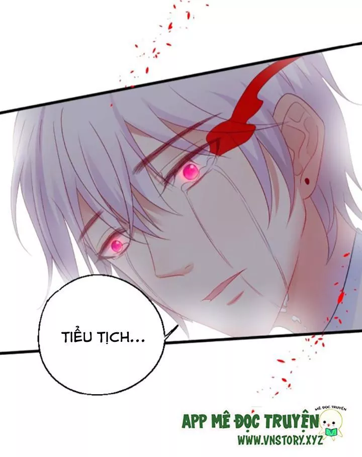 Huyết Tộc Đáng Yêu Chapter 73 - Trang 2