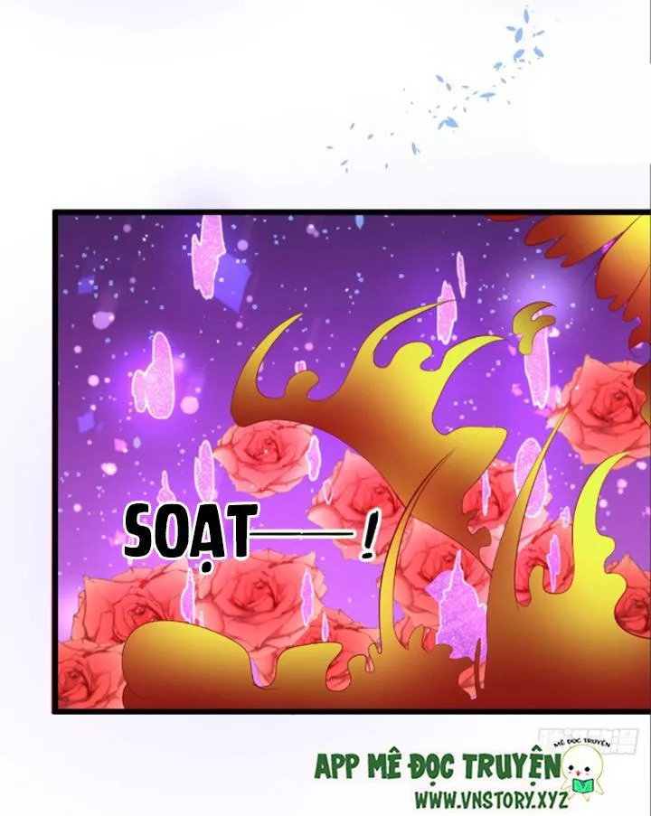 Huyết Tộc Đáng Yêu Chapter 74 - Trang 2