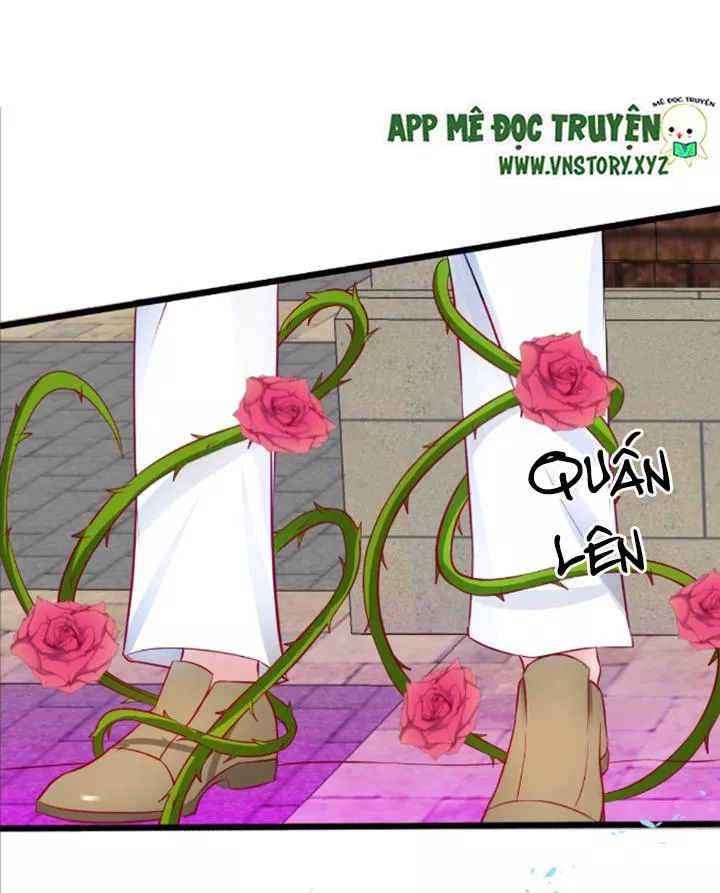 Huyết Tộc Đáng Yêu Chapter 74 - Trang 2