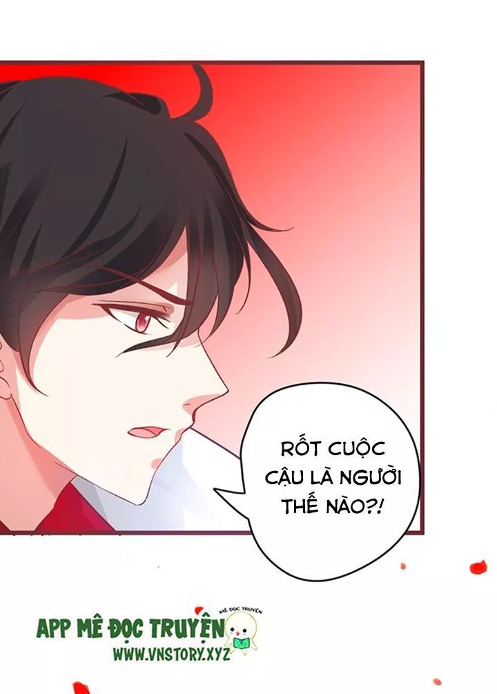 Huyết Tộc Đáng Yêu Chapter 76 - Trang 2