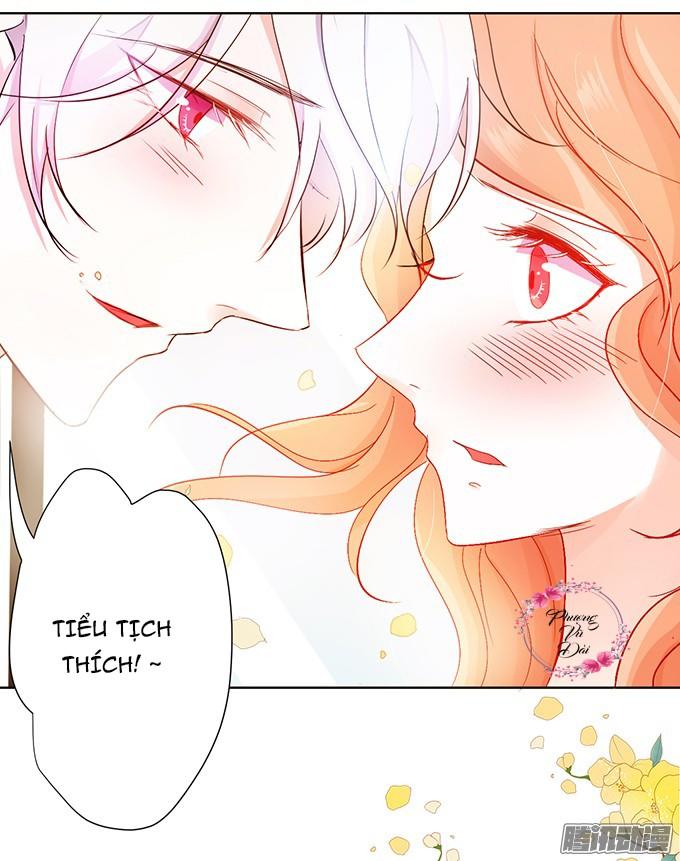 Huyết Tộc Đáng Yêu Chapter 8 - Trang 2