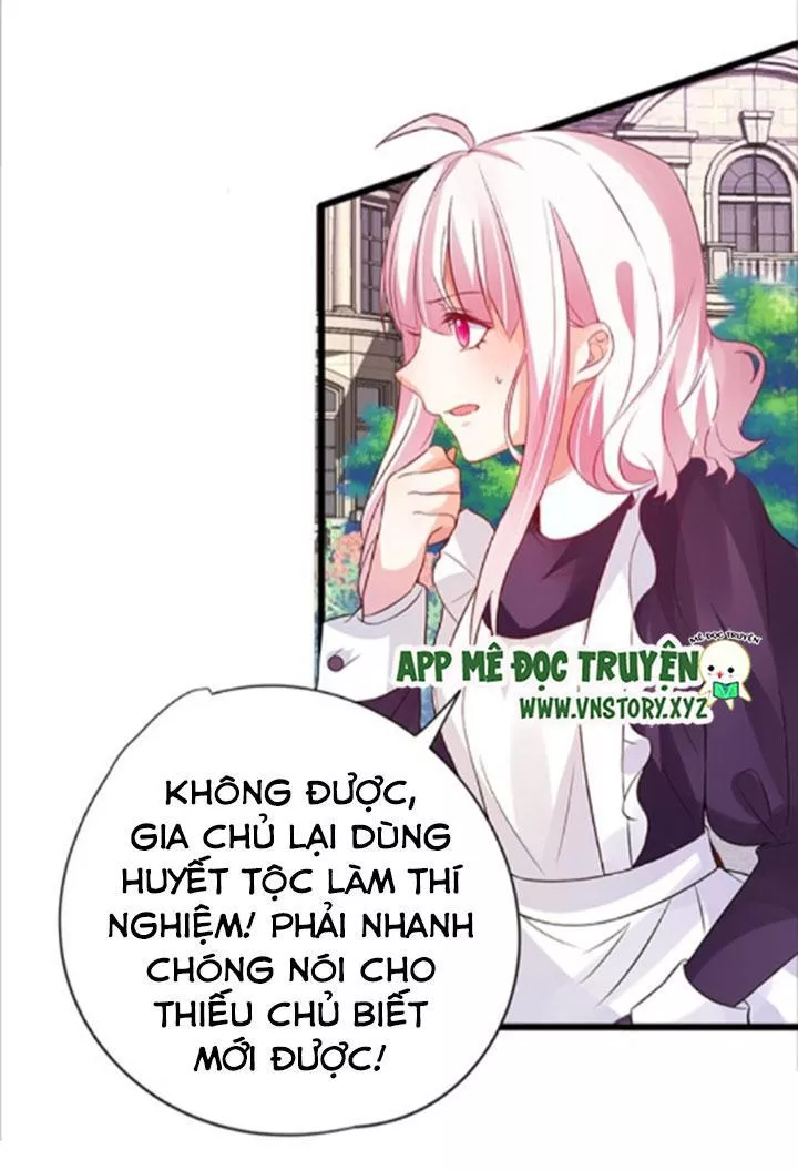 Huyết Tộc Đáng Yêu Chapter 81 - Trang 2