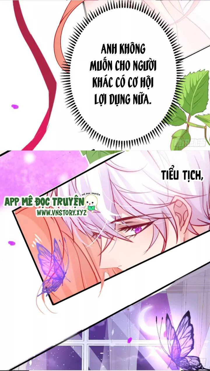 Huyết Tộc Đáng Yêu Chapter 82 - Trang 2