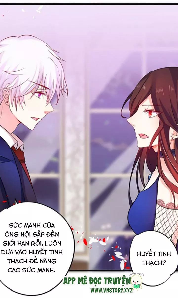 Huyết Tộc Đáng Yêu Chapter 87 - Trang 2