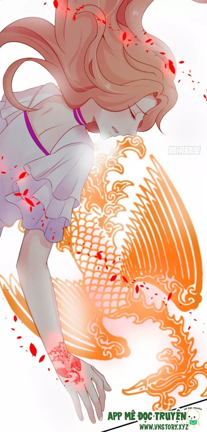 Huyết Tộc Đáng Yêu Chapter 97 - Trang 2