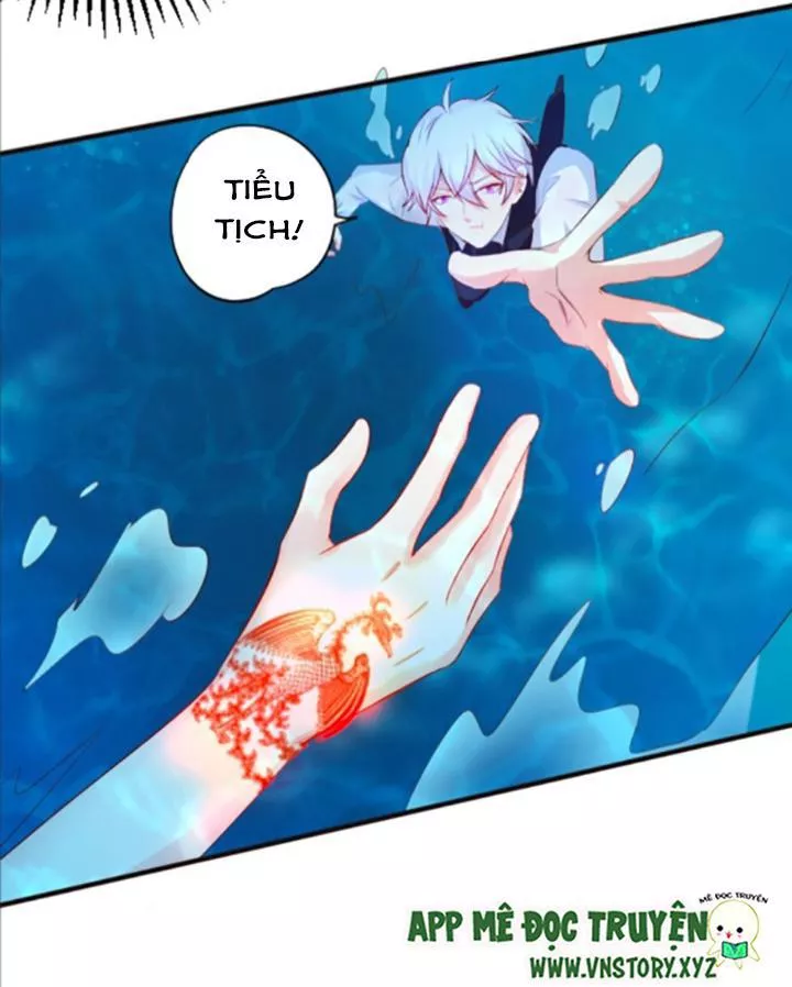 Huyết Tộc Đáng Yêu Chapter 98 - Trang 2