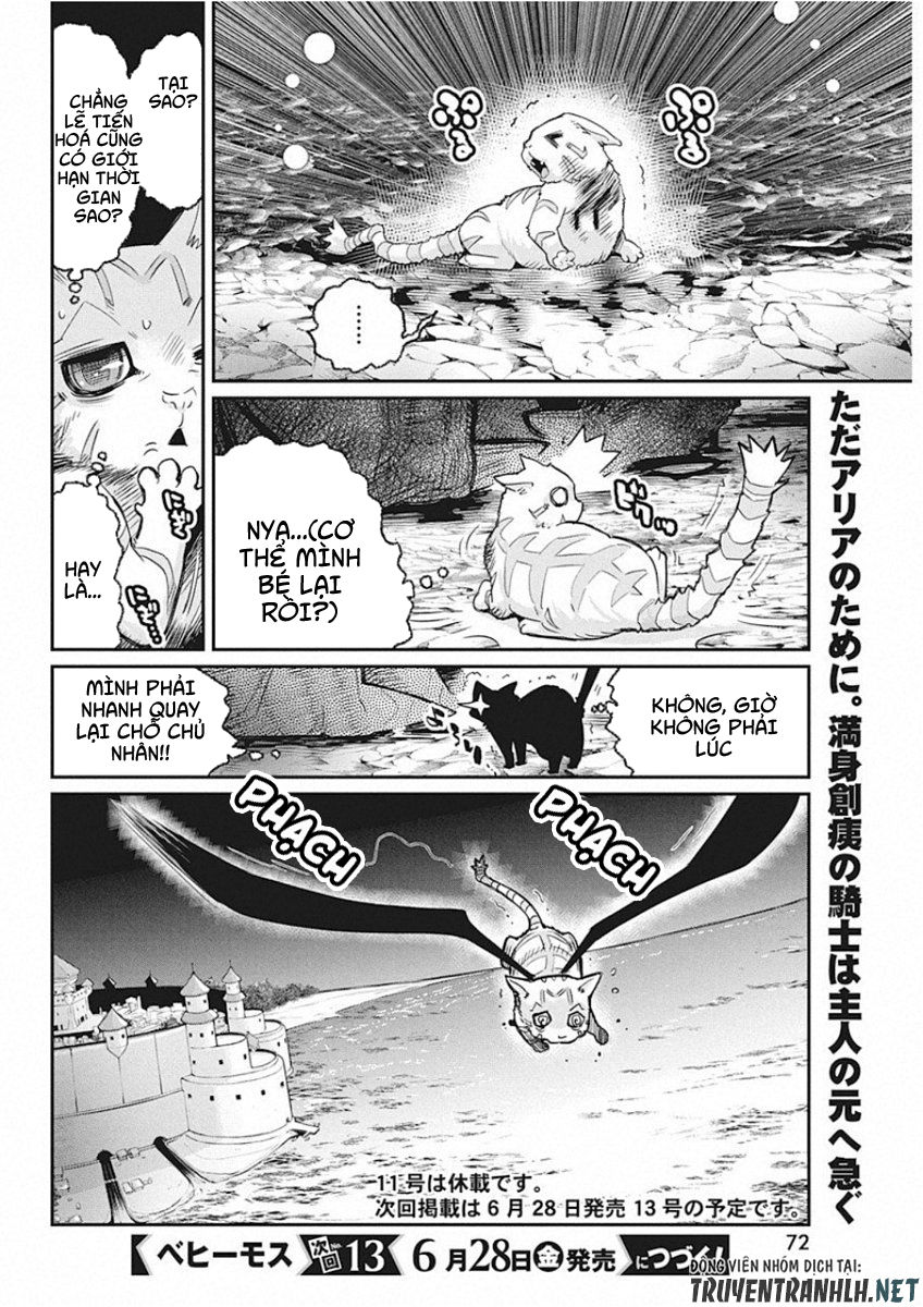 I Am Behemoth Of The S Rank Monster But I Am Mistaken As A Cat And I Live As A Pet Of Elf Girl Chapter 15 - Trang 2