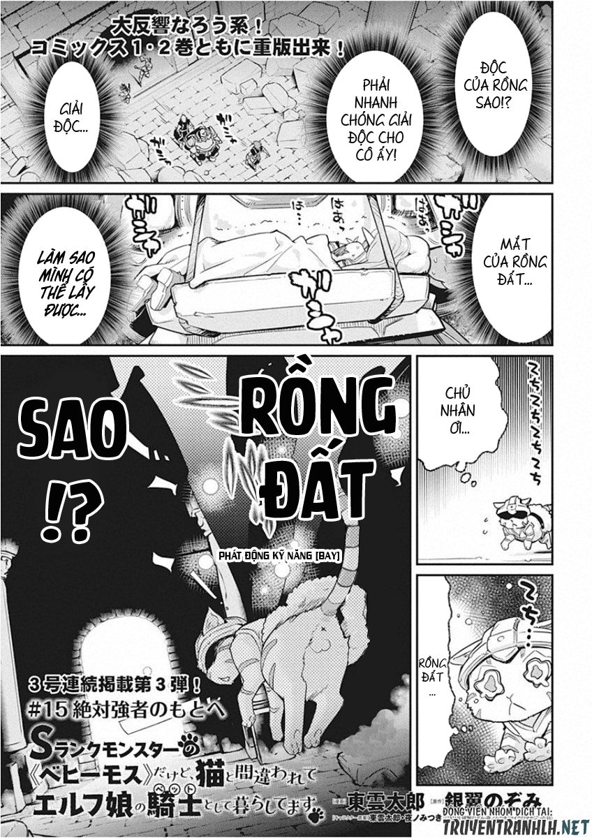 I Am Behemoth Of The S Rank Monster But I Am Mistaken As A Cat And I Live As A Pet Of Elf Girl Chapter 15 - Trang 2