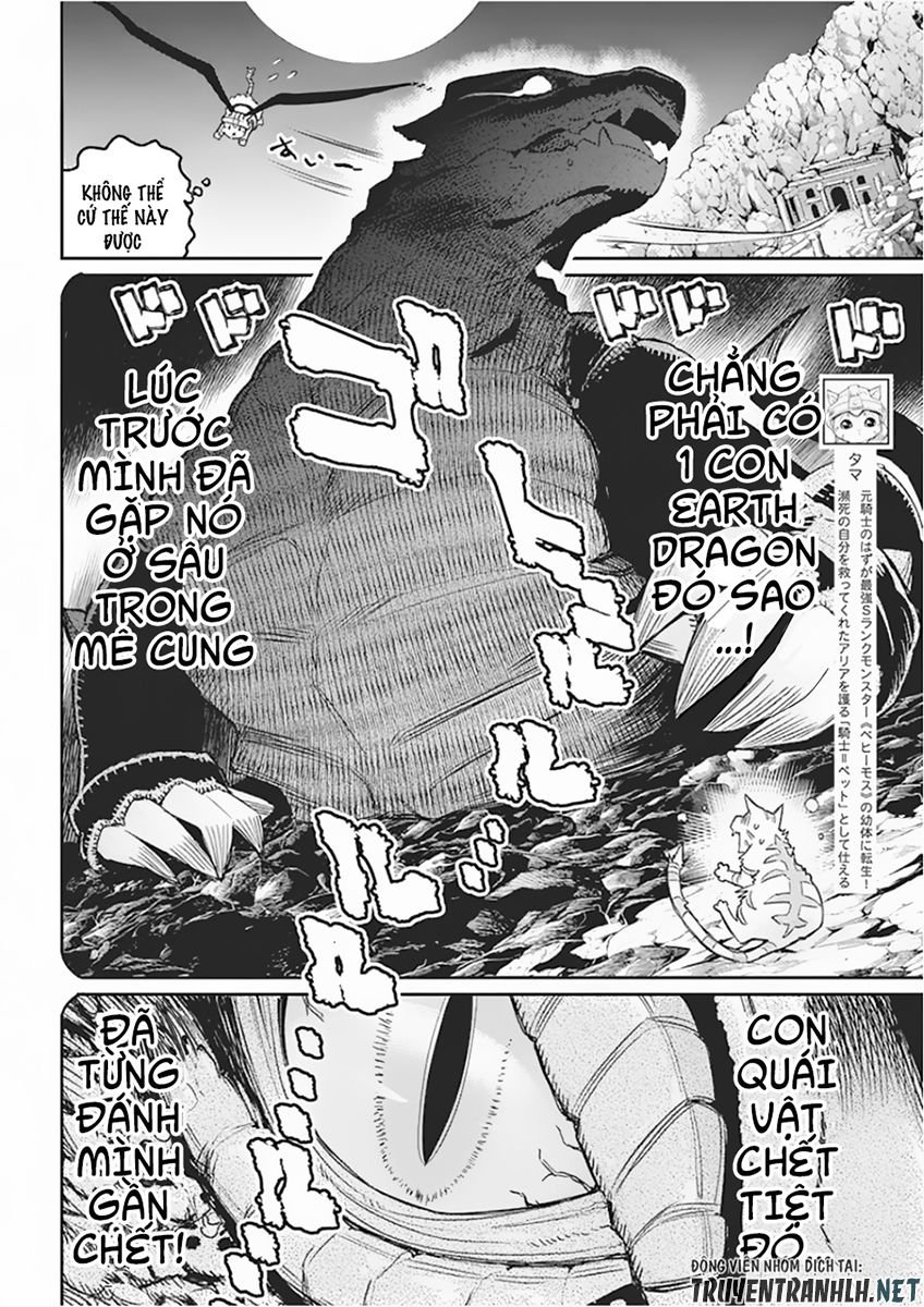 I Am Behemoth Of The S Rank Monster But I Am Mistaken As A Cat And I Live As A Pet Of Elf Girl Chapter 15 - Trang 2